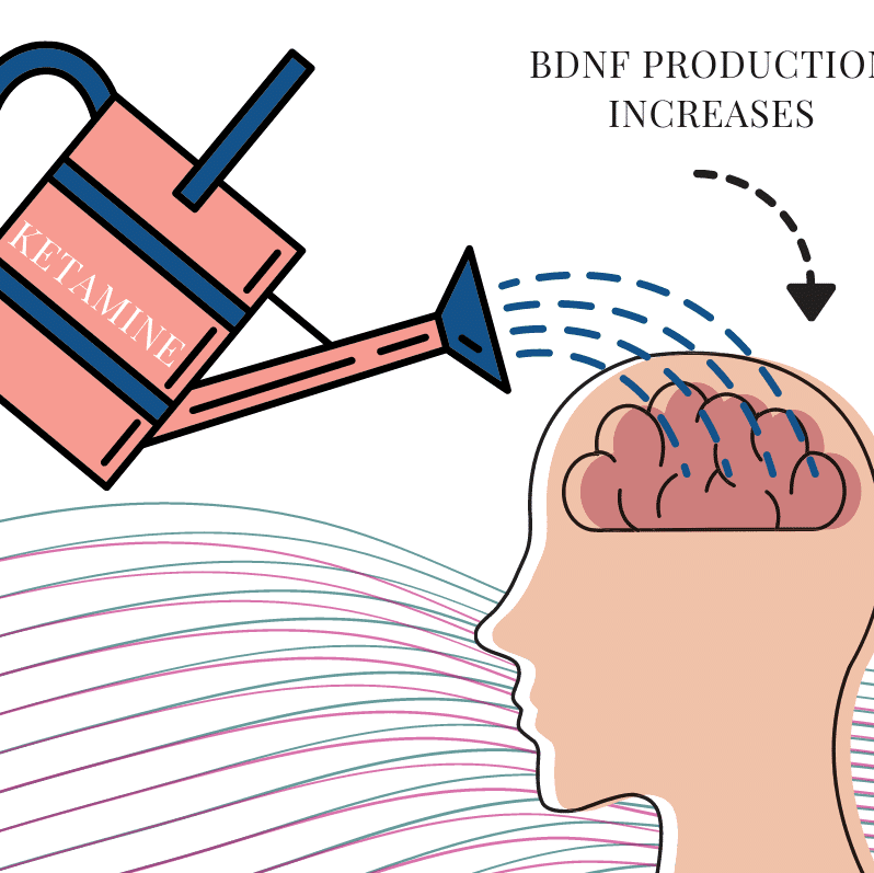 ketamine and BDFN production in the brain